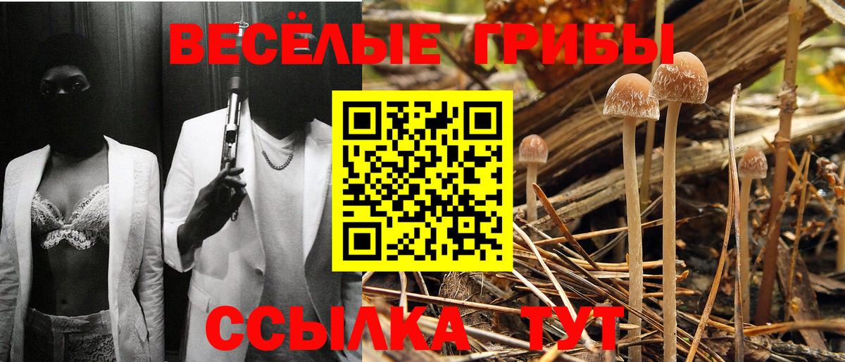 Отрадное  Галлюциногенные грибы мухоморы  Вход с VPN  Галлюциногенные грибы GOLDEN TEACHER 